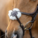 LeMieux Kudos Grackle Hoofdstel Trenshoofdstellen - Maddelin Equestrian LeMieux