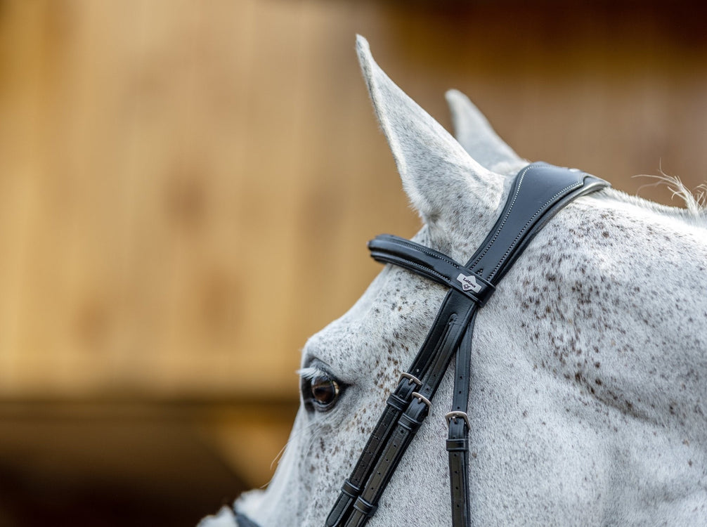 LeMieux Kudos Grackle Hoofdstel Trenshoofdstellen - Maddelin Equestrian LeMieux