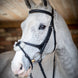 LeMieux Kudos Grackle Hoofdstel Trenshoofdstellen - Maddelin Equestrian LeMieux