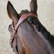 LeMieux Kudos Grackle Hoofdstel Trenshoofdstellen - Maddelin Equestrian LeMieux