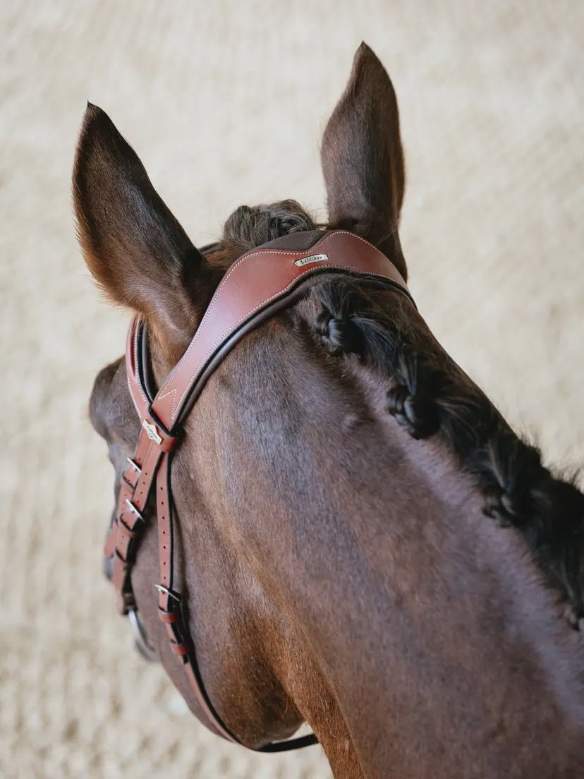 LeMieux Kudos Grackle Hoofdstel Trenshoofdstellen - Maddelin Equestrian LeMieux