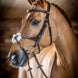 LeMieux Kudos Grackle Hoofdstel Trenshoofdstellen - Maddelin Equestrian LeMieux
