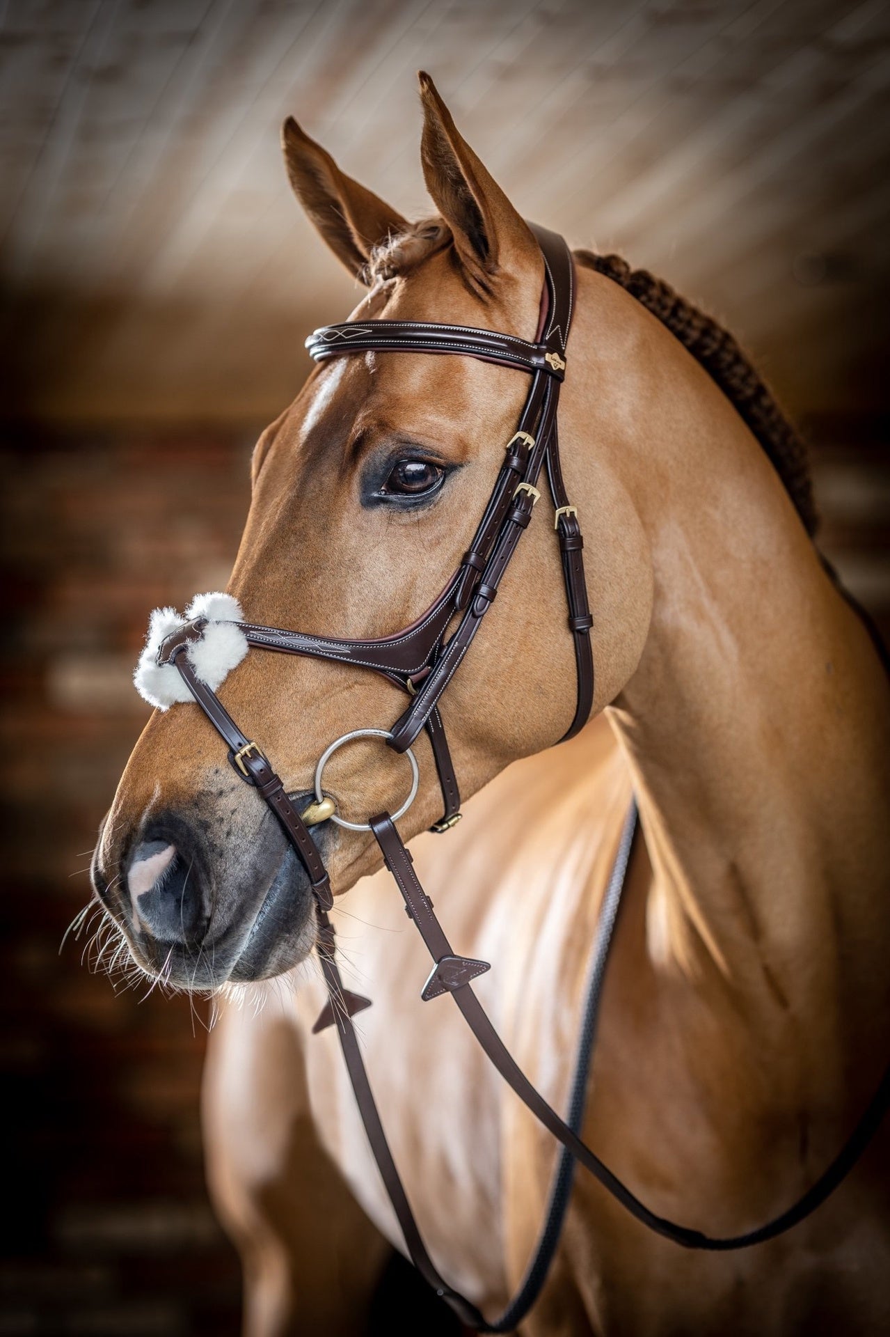 LeMieux Kudos Grackle Hoofdstel Trenshoofdstellen - Maddelin Equestrian LeMieux