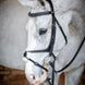 LeMieux Kudos Grackle Hoofdstel Trenshoofdstellen - Maddelin Equestrian LeMieux