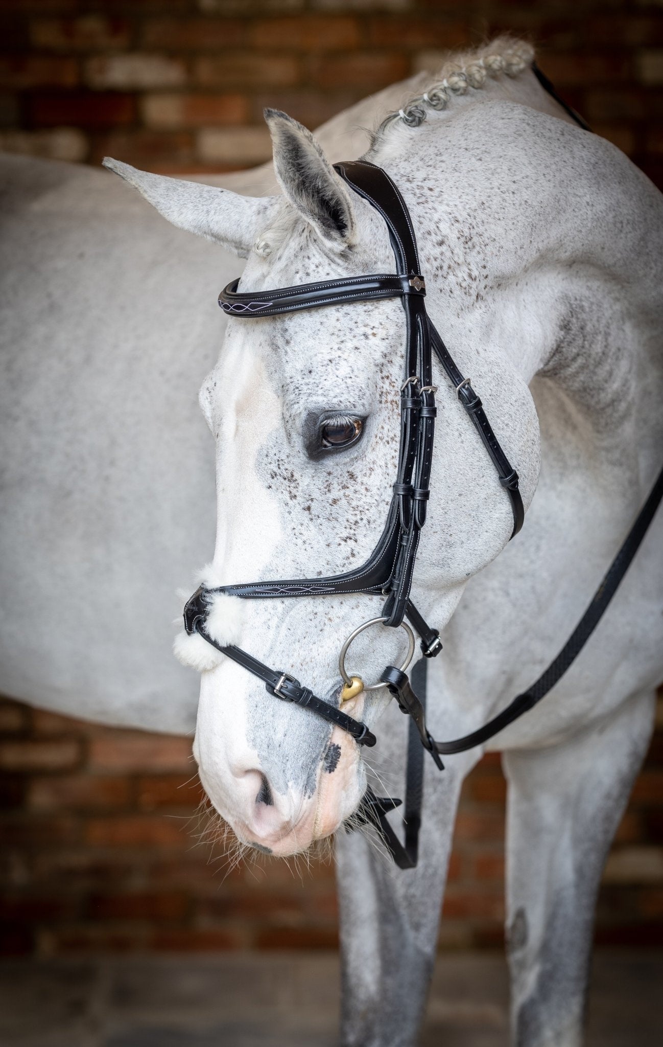 LeMieux Kudos Grackle Hoofdstel Trenshoofdstellen - Maddelin Equestrian LeMieux