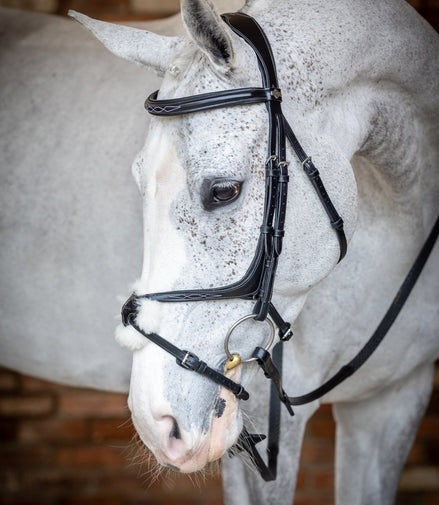 LeMieux Kudos Grackle Hoofdstel Trenshoofdstellen - Maddelin Equestrian LeMieux