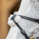 LeMieux Kudos Grackle Hoofdstel Trenshoofdstellen - Maddelin Equestrian LeMieux