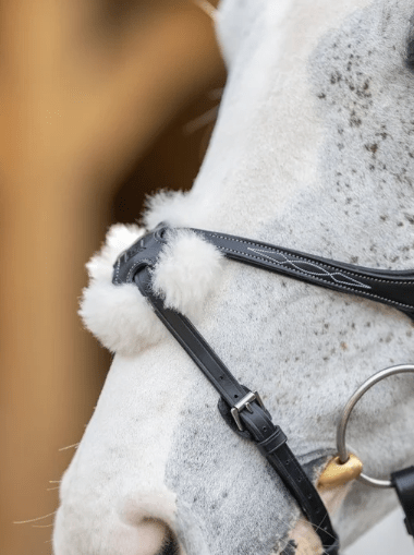 LeMieux Kudos Grackle Hoofdstel Trenshoofdstellen - Maddelin Equestrian LeMieux