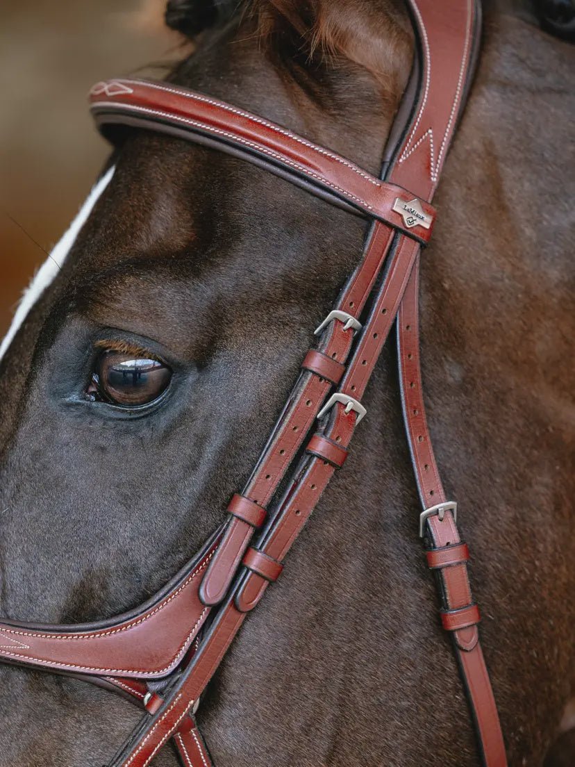 LeMieux Kudos Grackle Hoofdstel Trenshoofdstellen - Maddelin Equestrian LeMieux