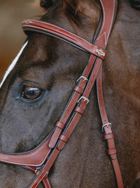 LeMieux Kudos Grackle Hoofdstel Trenshoofdstellen - Maddelin Equestrian LeMieux