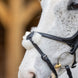 LeMieux Kudos Grackle Hoofdstel Trenshoofdstellen - Maddelin Equestrian LeMieux