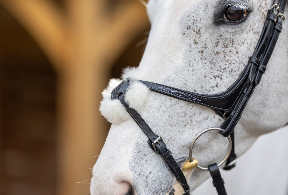 LeMieux Kudos Grackle Hoofdstel Trenshoofdstellen - Maddelin Equestrian LeMieux