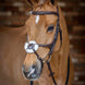 LeMieux Kudos Grackle Hoofdstel Trenshoofdstellen - Maddelin Equestrian LeMieux