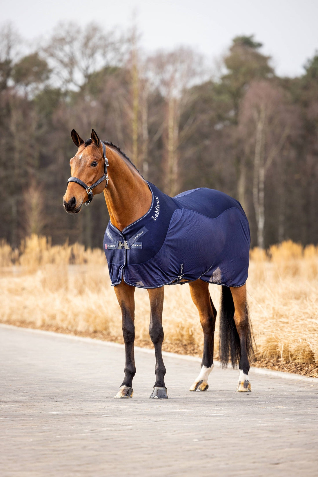 LeMieux Kudos Mesh Sports Cooler Paardendeken Zweetdekens - Maddelin Equestrian LeMieux