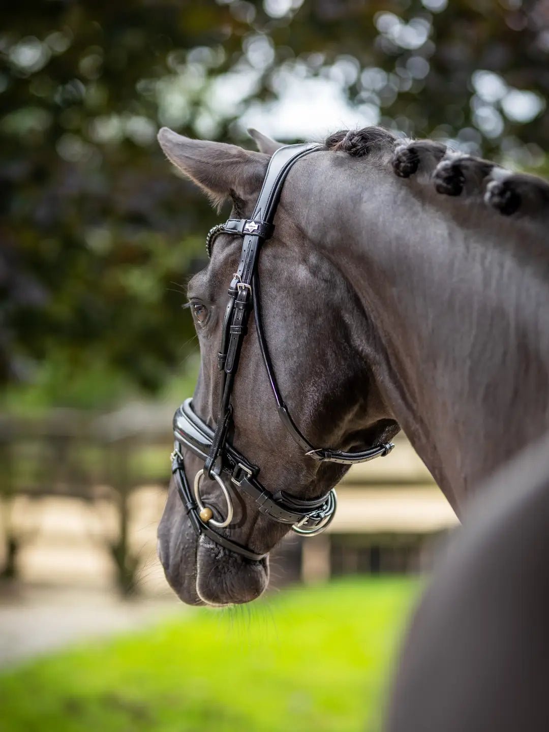 LeMieux Kudos Patent Dressage Hoofdstel Trenshoofdstellen - Maddelin Equestrian LeMieux