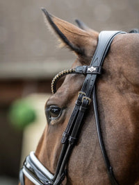 LeMieux Kudos Patent Dressage Hoofdstel Trenshoofdstellen - Maddelin Equestrian LeMieux
