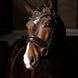 LeMieux Kudos Patent Dressage Hoofdstel Trenshoofdstellen - Maddelin Equestrian LeMieux