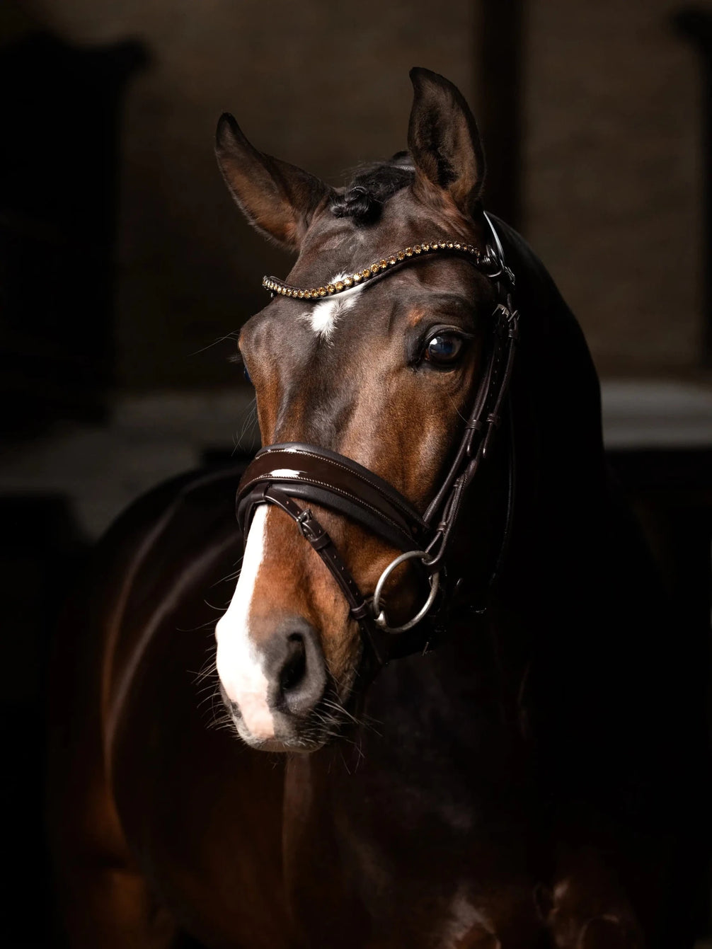 LeMieux Kudos Patent Dressage Hoofdstel Trenshoofdstellen - Maddelin Equestrian LeMieux