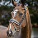 LeMieux Kudos Patent Dressage Hoofdstel Trenshoofdstellen - Maddelin Equestrian LeMieux