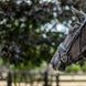 LeMieux Kudos Patent Dressage Hoofdstel Trenshoofdstellen - Maddelin Equestrian LeMieux