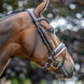 LeMieux Kudos Patent Dressage Hoofdstel Trenshoofdstellen - Maddelin Equestrian LeMieux