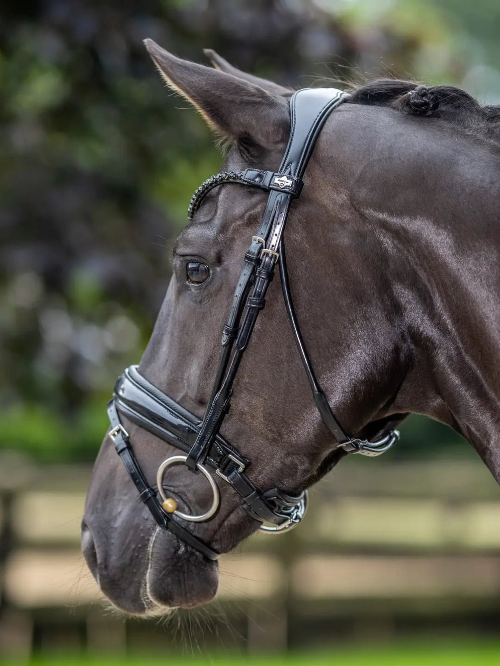 LeMieux Kudos Patent Dressage Hoofdstel Trenshoofdstellen - Maddelin Equestrian LeMieux