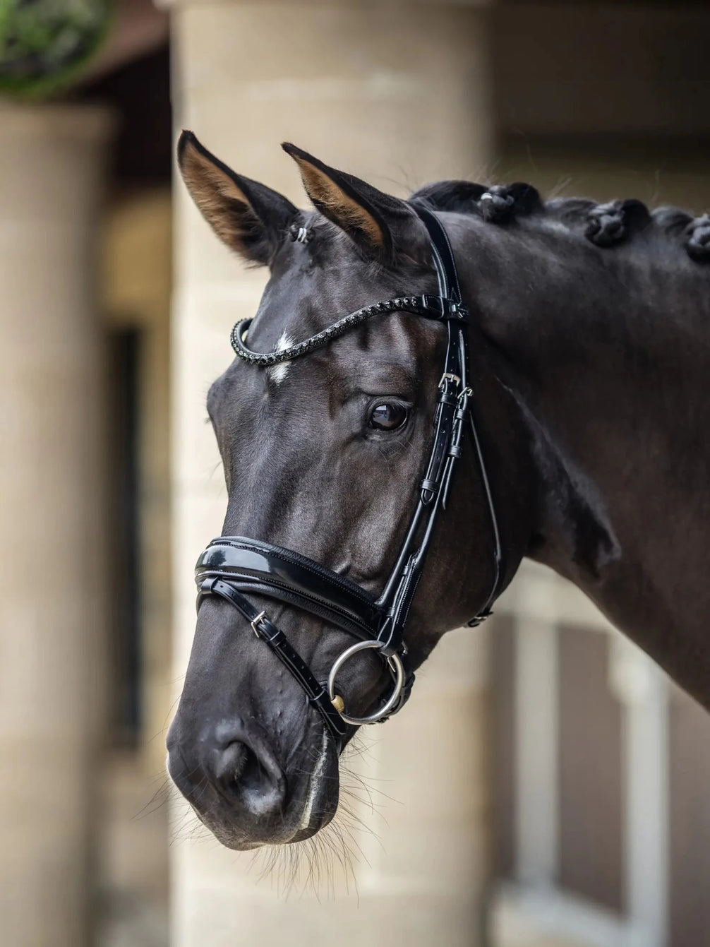 LeMieux Kudos Patent Dressage Hoofdstel Trenshoofdstellen - Maddelin Equestrian LeMieux
