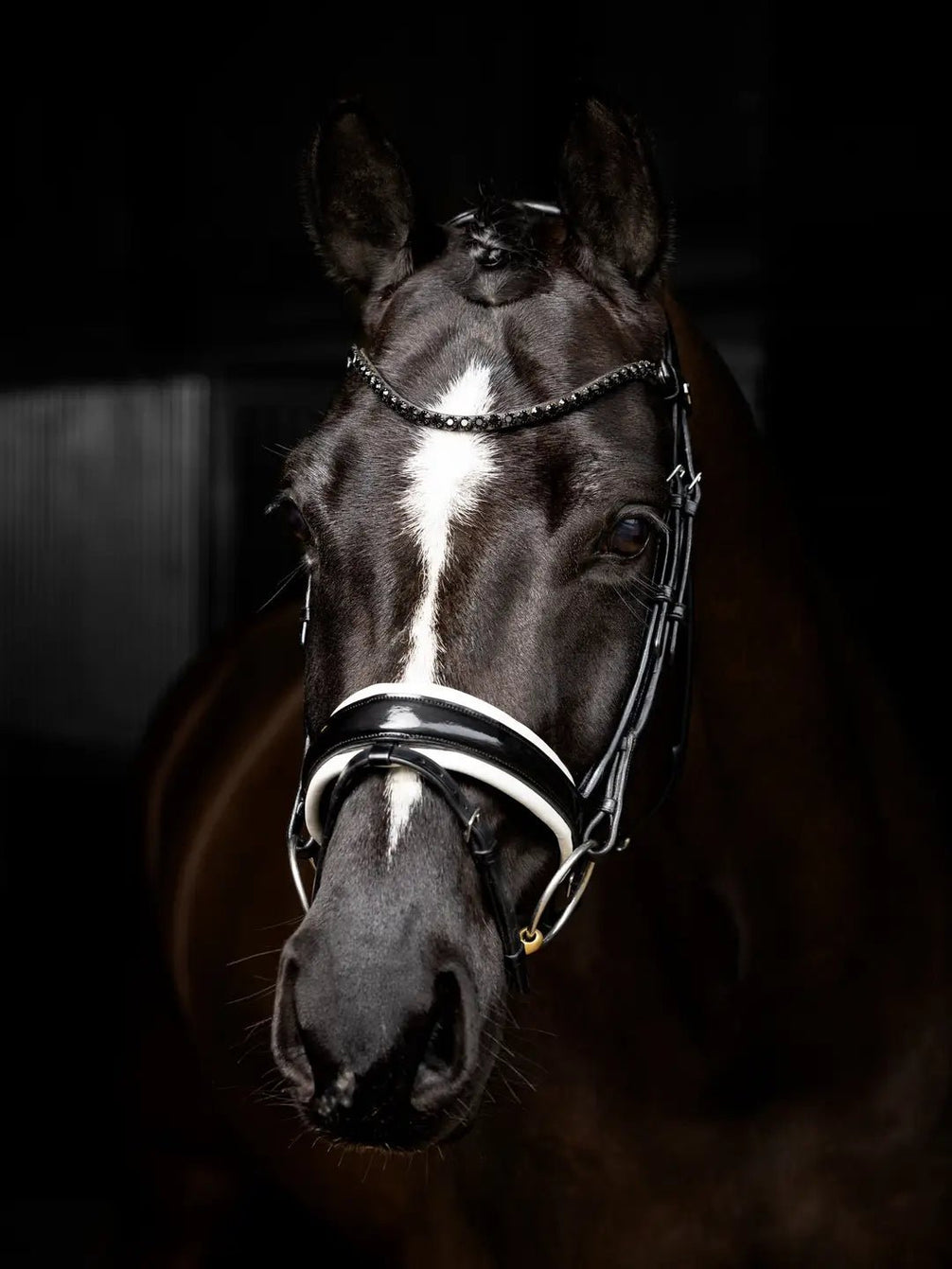 LeMieux Kudos Patent Dressage Hoofdstel Trenshoofdstellen - Maddelin Equestrian LeMieux