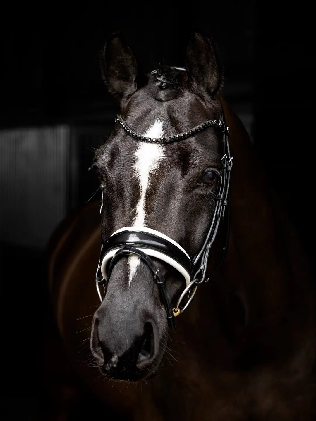 LeMieux Kudos Patent Dressage Hoofdstel Trenshoofdstellen - Maddelin Equestrian LeMieux