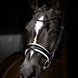 LeMieux Kudos Patent Dressage Hoofdstel Trenshoofdstellen - Maddelin Equestrian LeMieux