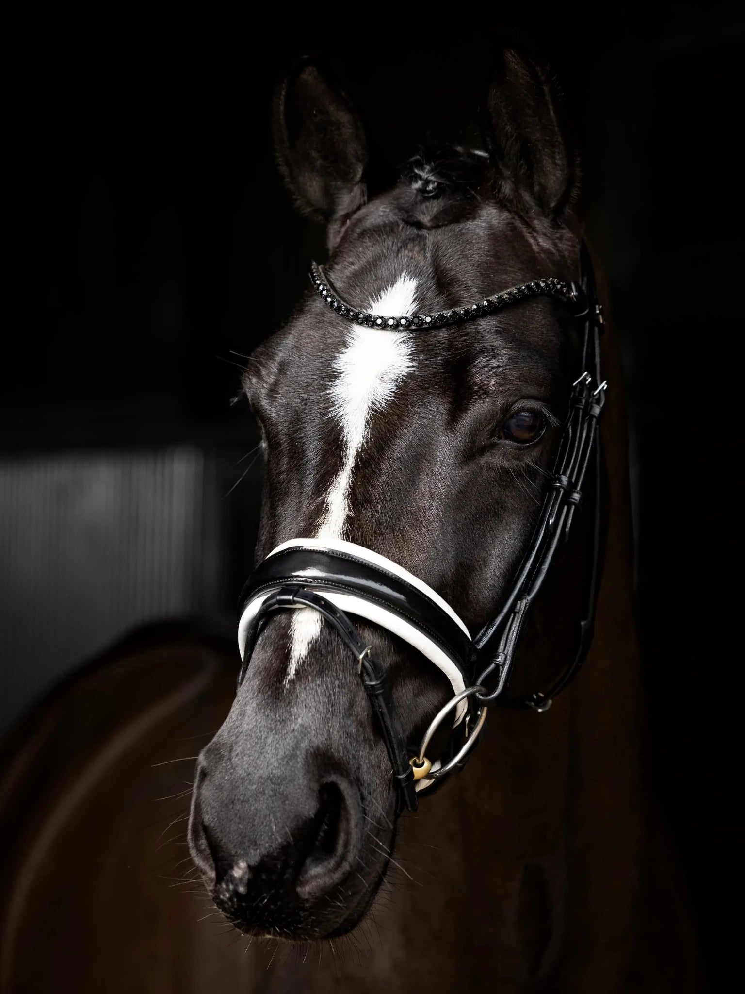 LeMieux Kudos Patent Dressage Hoofdstel Trenshoofdstellen - Maddelin Equestrian LeMieux