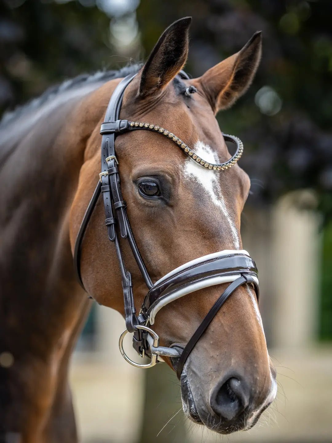 LeMieux Kudos Patent Dressage Hoofdstel Trenshoofdstellen - Maddelin Equestrian LeMieux
