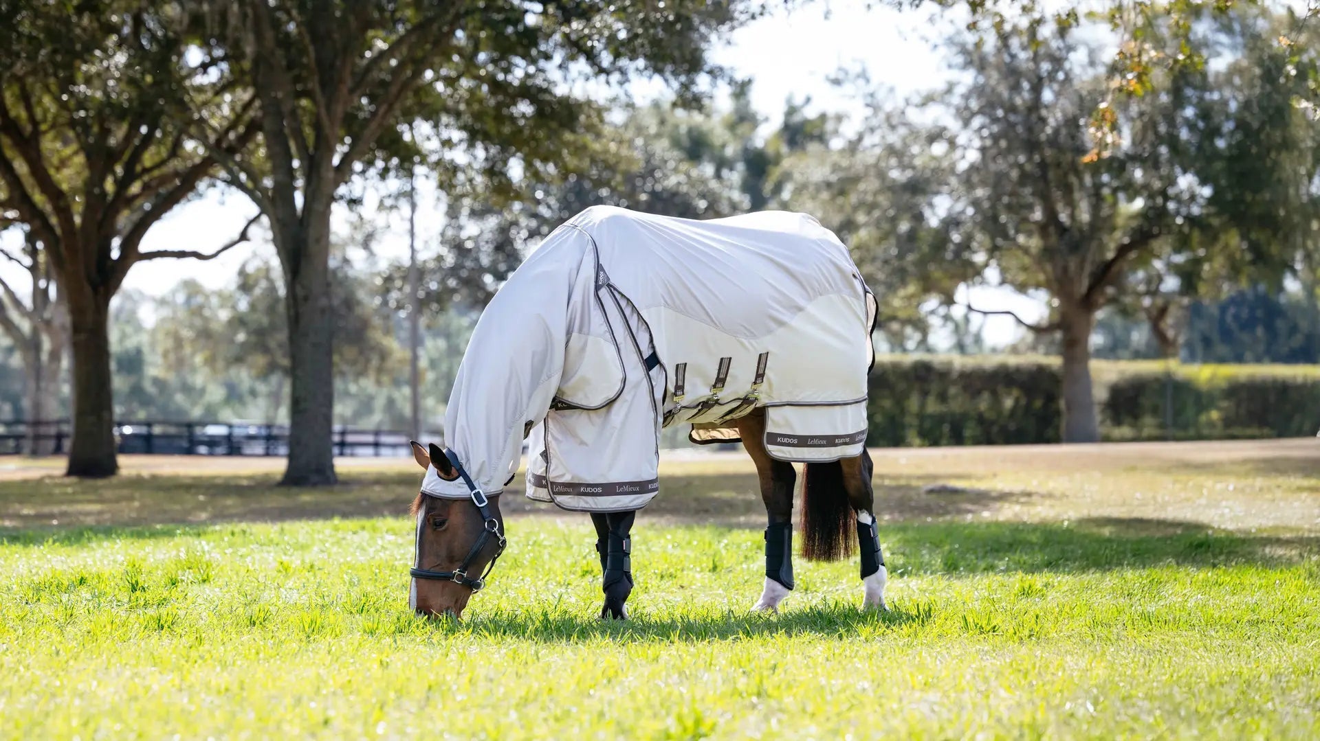 LeMieux Kudos Shower Pro Sweet itch Rug Vliegendekens - Maddelin Equestrian LeMieux