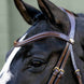 LeMieux Kudos Sport Hoofdstel Trenshoofdstellen - Maddelin Equestrian