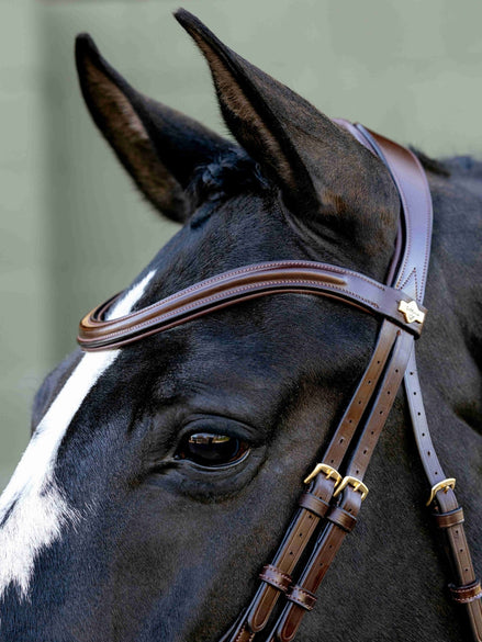 LeMieux Kudos Sport Hoofdstel Trenshoofdstellen - Maddelin Equestrian