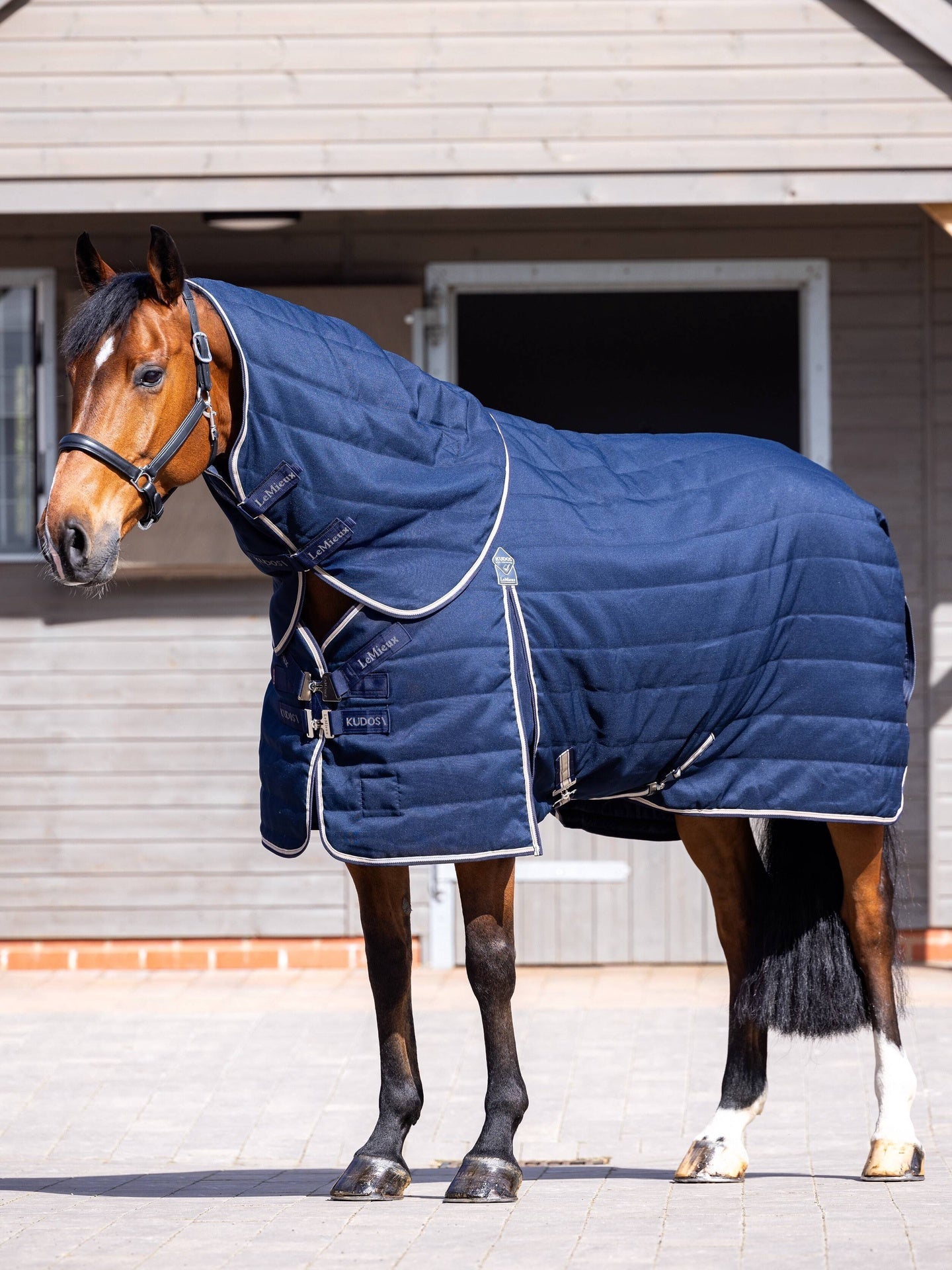 LeMieux Kudos Staldeken Staldeken - Maddelin Equestrian LeMieux