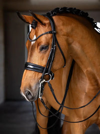 LeMieux Kudos Stang & Trens Stang & Trens - Maddelin Equestrian LeMieux