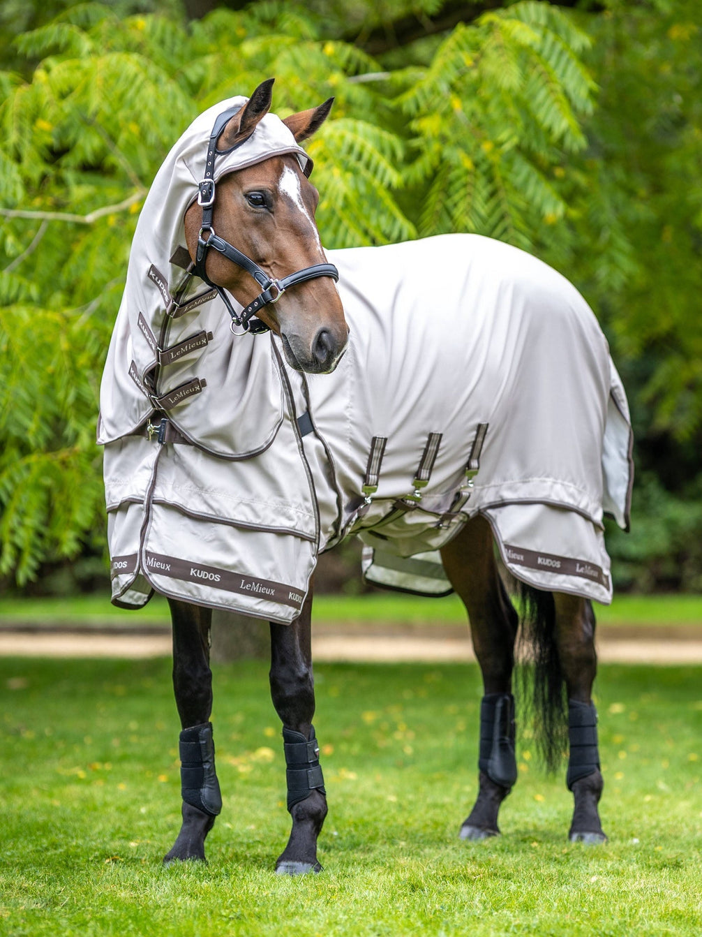 LeMieux Kudos Sweet Itch Eczeemdeken Stone Vliegendekens - Maddelin Equestrian LeMieux