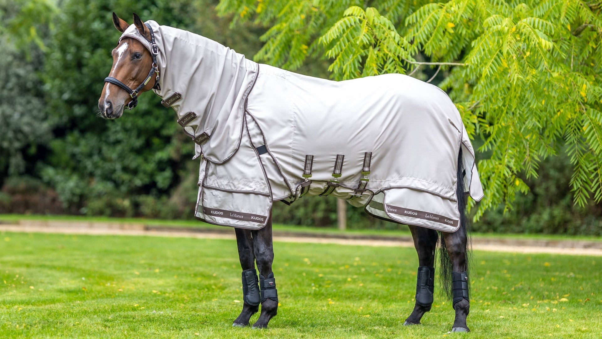 LeMieux Kudos Sweet Itch Eczeemdeken Stone Vliegendekens - Maddelin Equestrian LeMieux