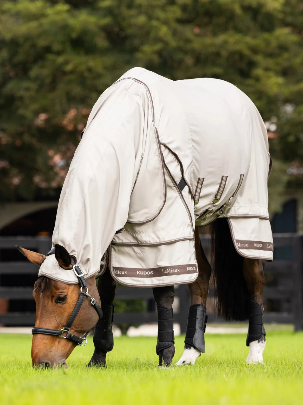 LeMieux Kudos Sweet Itch Eczeemdeken Stone Vliegendekens - Maddelin Equestrian