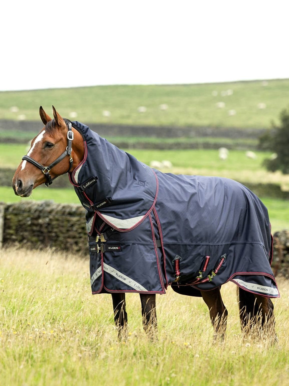 LeMieux Kudos Thermo Layer Turnout Paardendeken Navy Outdoordeken - Maddelin Equestrian LeMieux