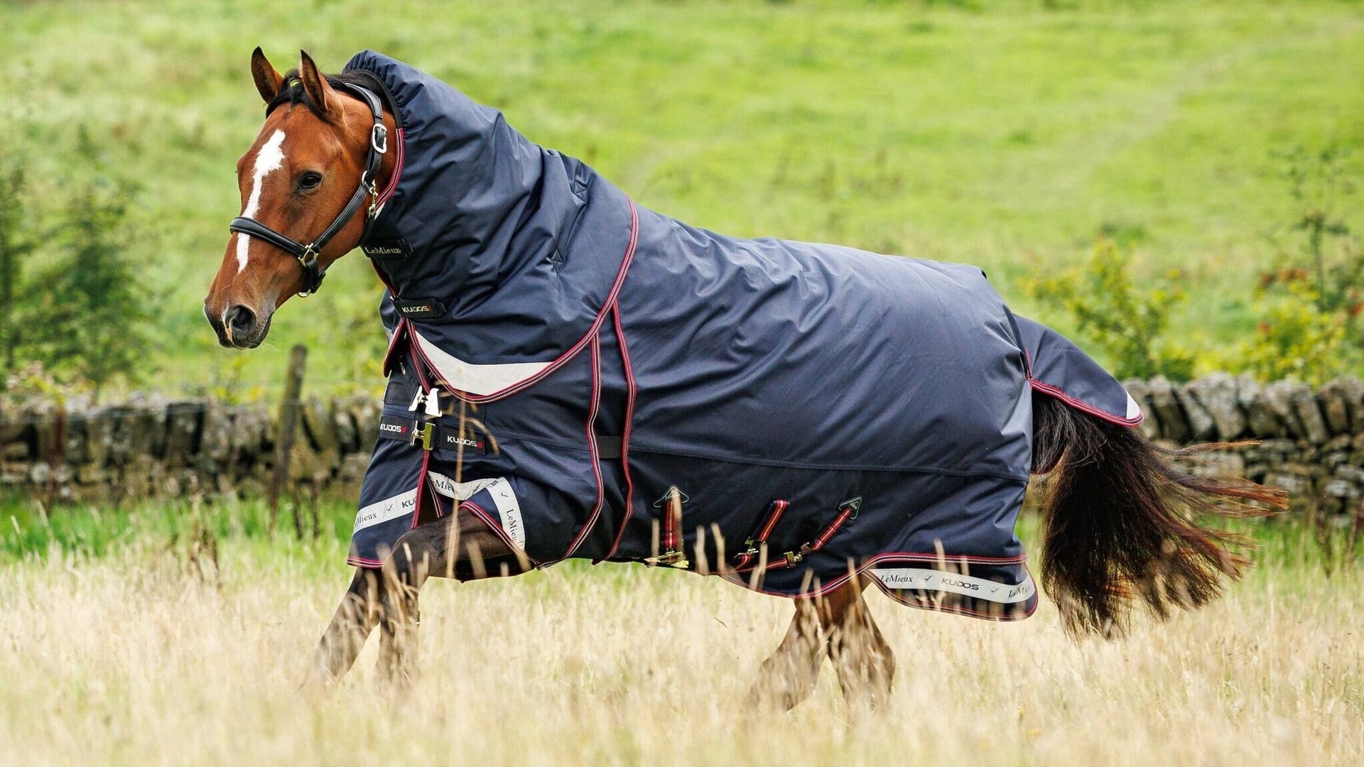 LeMieux Kudos Thermo Layer Turnout Paardendeken Navy Outdoordeken - Maddelin Equestrian LeMieux