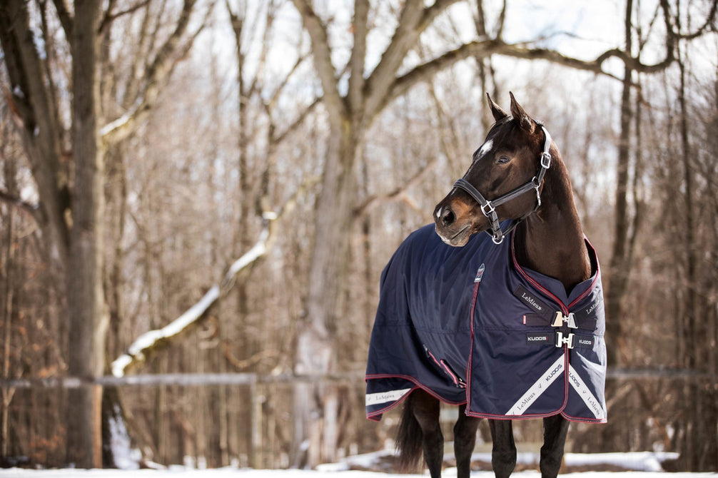 LeMieux Kudos Turnout Paardendeken Outdoordeken - Maddelin Equestrian LeMieux