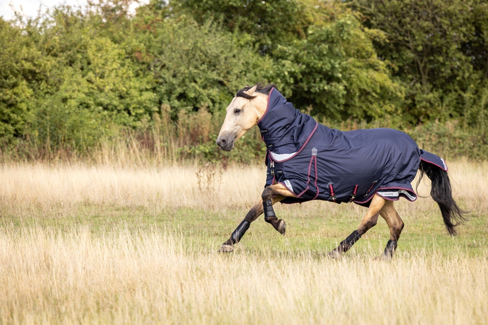 LeMieux Kudos Turnout Paardendeken Outdoordeken - Maddelin Equestrian LeMieux