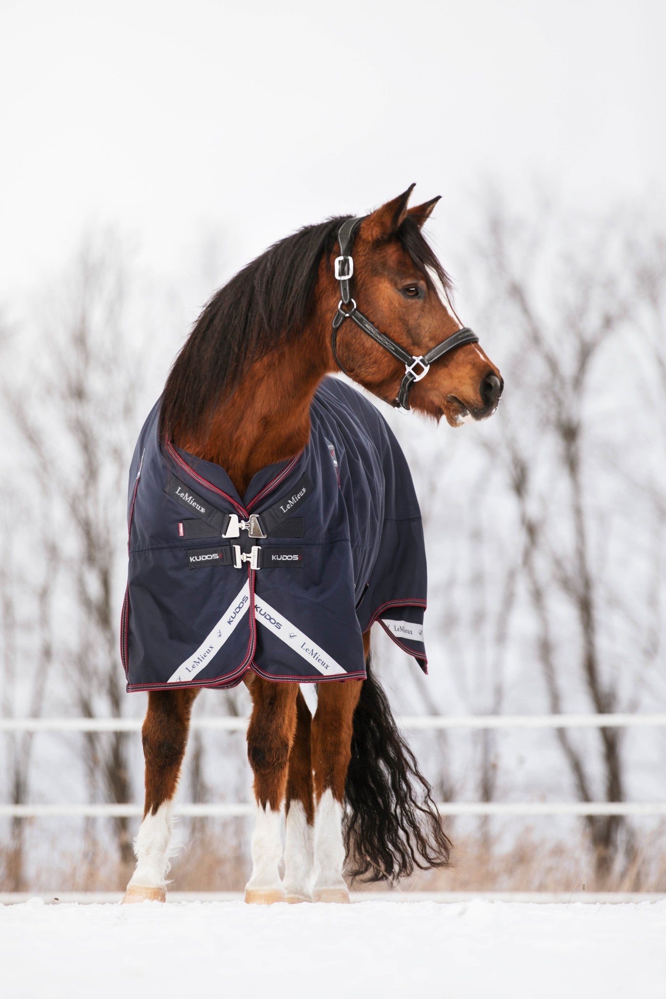 LeMieux Kudos Turnout Paardendeken Outdoordeken - Maddelin Equestrian LeMieux