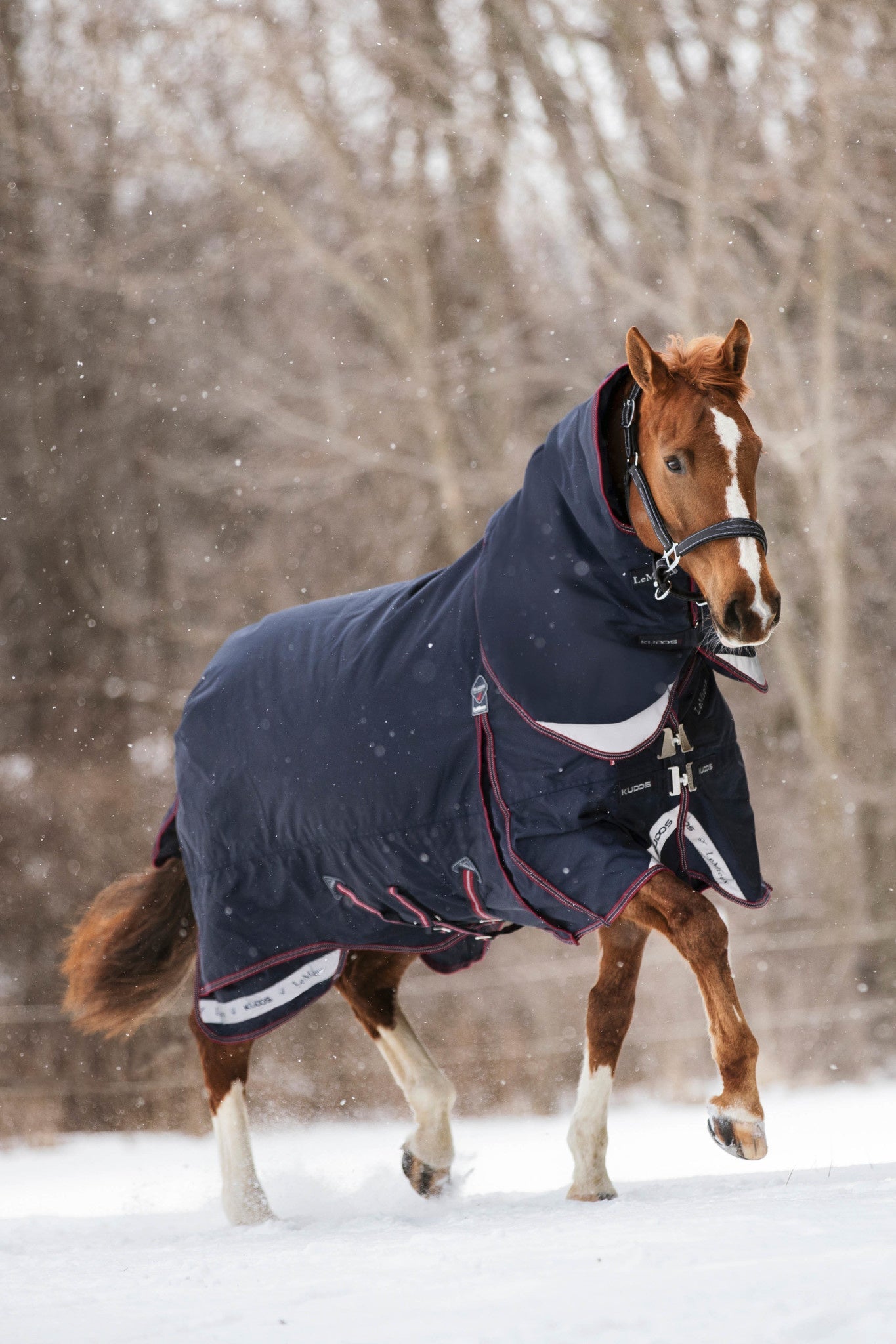 LeMieux Kudos Turnout Paardendeken Outdoordeken - Maddelin Equestrian LeMieux
