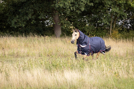 LeMieux Kudos Turnout Paardendeken Outdoordeken - Maddelin Equestrian LeMieux