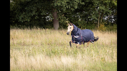 LeMieux Kudos Turnout Paardendeken Outdoordeken - Maddelin Equestrian LeMieux