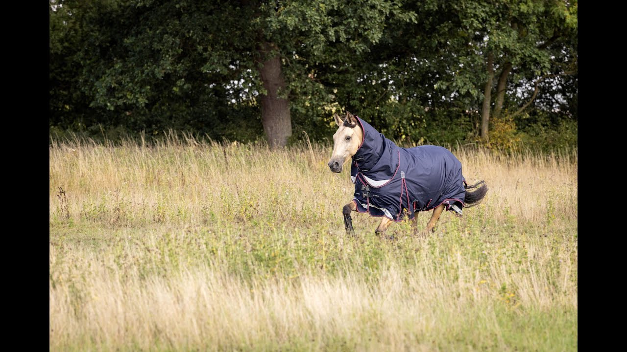 LeMieux Kudos Turnout Paardendeken Outdoordeken - Maddelin Equestrian LeMieux