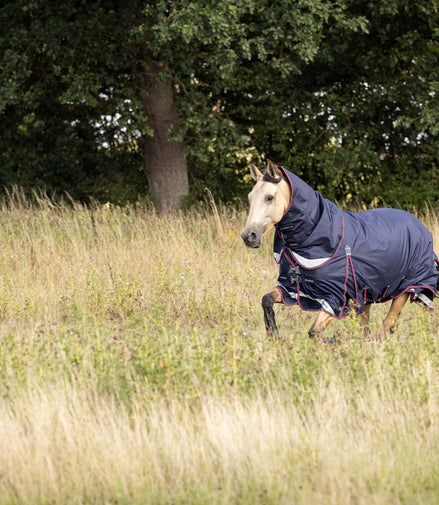 LeMieux Kudos Turnout Paardendeken Outdoordeken - Maddelin Equestrian LeMieux